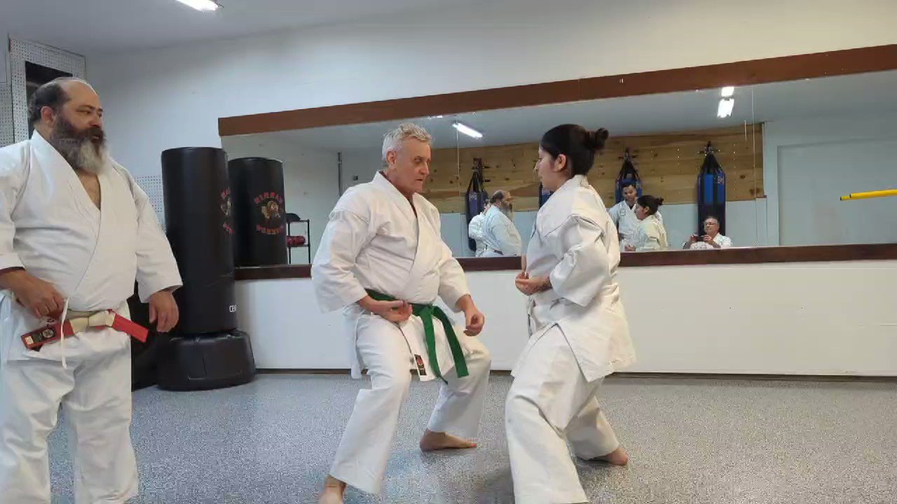 Adult karate class training in Virginia Beach