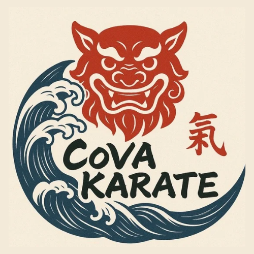 Adults and serious teens training at CoVA Karate in Virginia Beach
